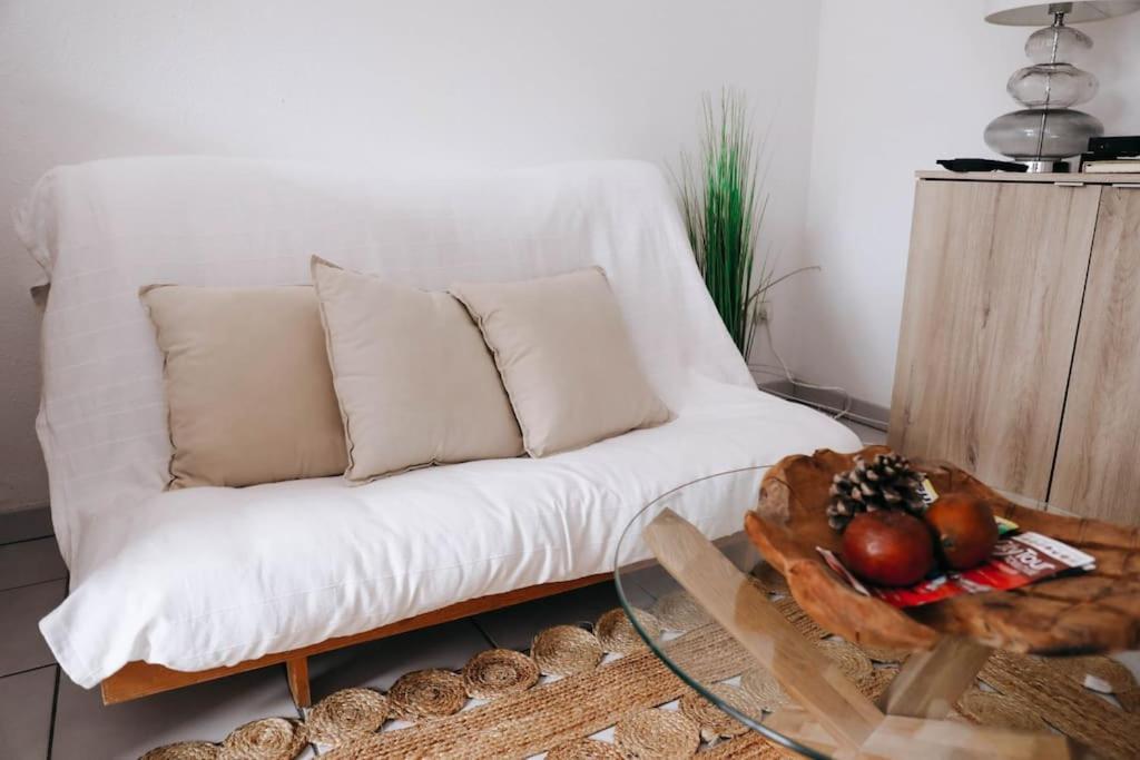 Echappee Chic Toulousaine Apartment Toulouse Luaran gambar